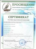 Сертификат приняла участие во Всероссийской педагогической конференции на Всероссийском образовательном портале "Просвещение"