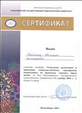 Сертификат  за участие в семинаре "Технология организации и проведения социально-значимых мероприятий, направленных на пропаганду здорового образа жизни"